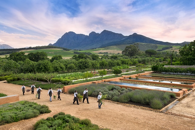 Babylonstoren - garden 3